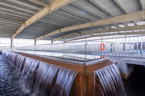 怎么保养多功效微型过滤机？？？？